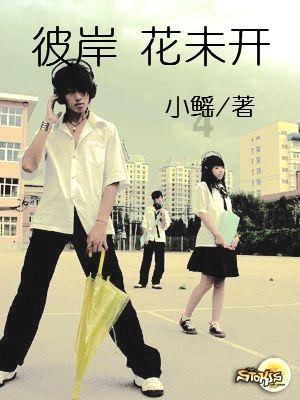迷你忍者
